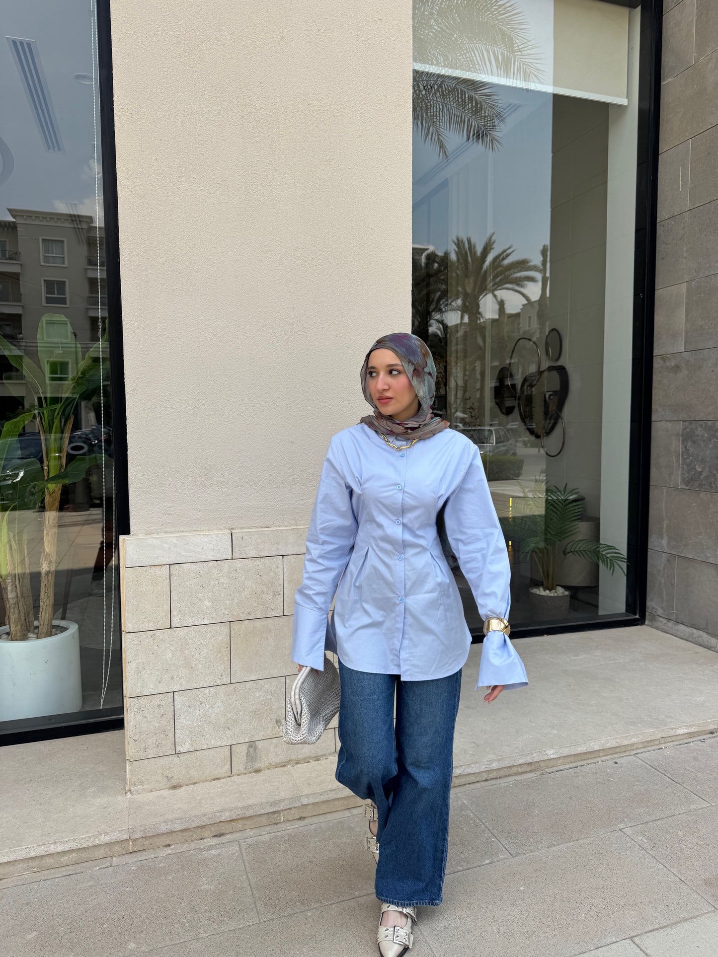 The Elegant Shirt