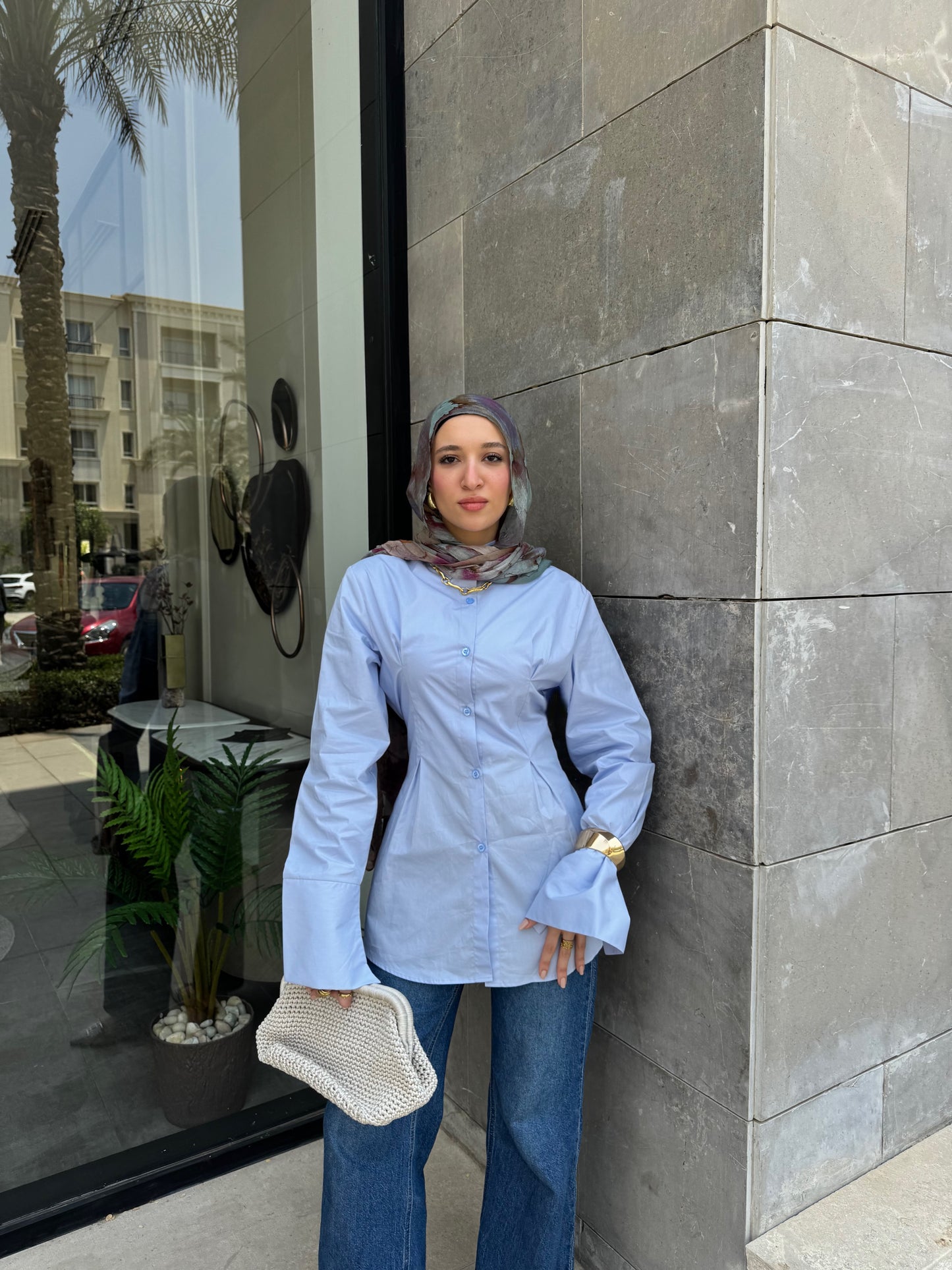 The Elegant Shirt